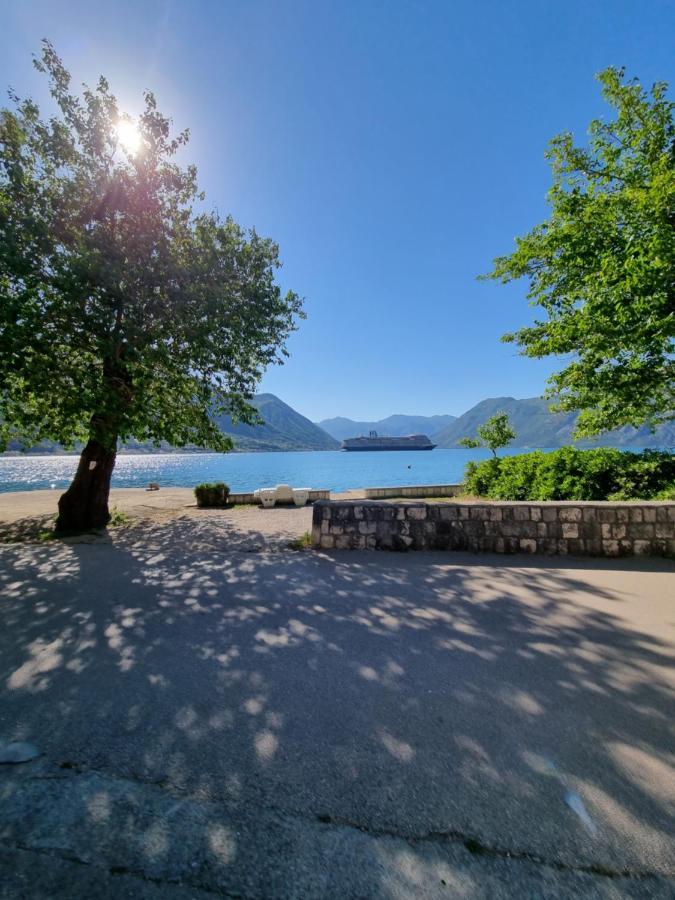 Studio On The Coast, With A View Of The Sunrise,Free We-Fi Kotor Exteriör bild