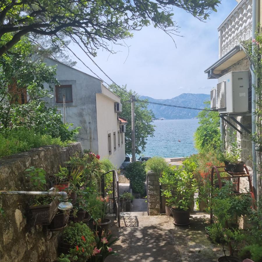 Studio On The Coast, With A View Of The Sunrise,Free We-Fi Kotor Exteriör bild