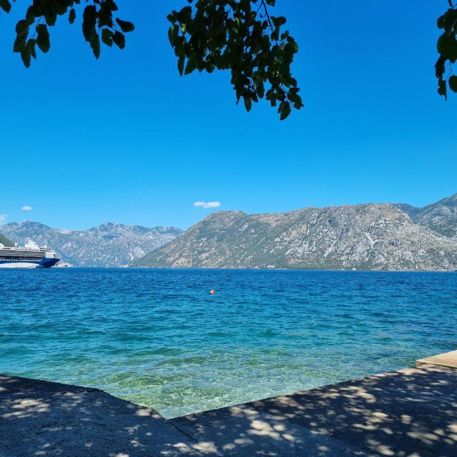 Studio On The Coast, With A View Of The Sunrise,Free We-Fi Kotor Exteriör bild