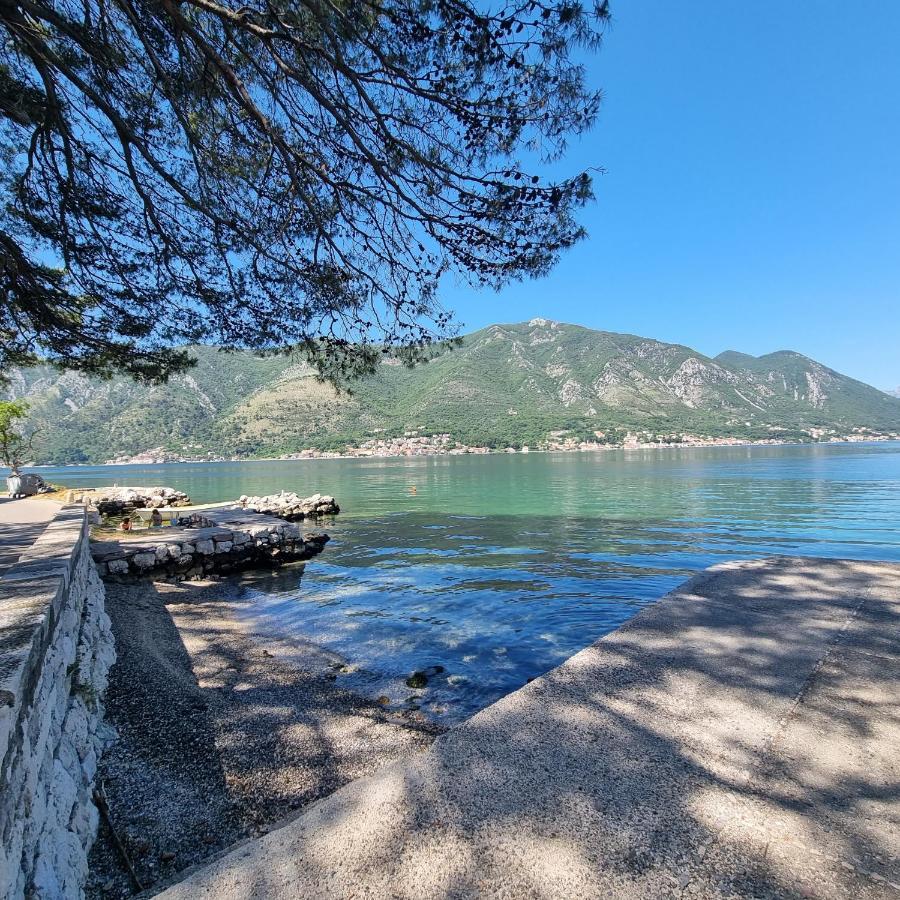 Studio On The Coast, With A View Of The Sunrise,Free We-Fi Kotor Exteriör bild