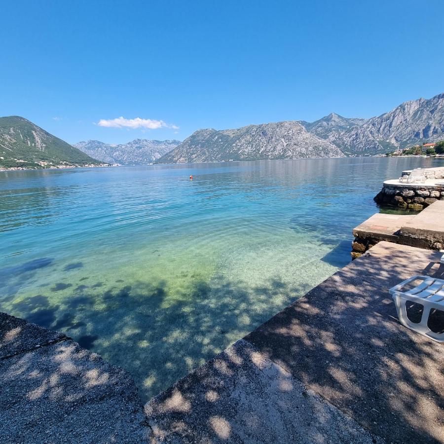 Studio On The Coast, With A View Of The Sunrise,Free We-Fi Kotor Exteriör bild